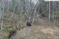 Land for sale in Ashe County, North Carolina