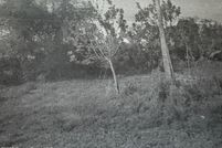 Land for sale in Indian River County, Florida