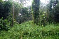 Land for sale in Hawaii County, Hawaii