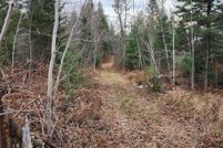 Land for sale in Mackinac County, Michigan