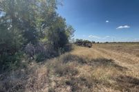 Land for sale in Navarro County, Texas