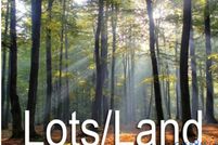 Land for sale in Mecklenburg County, Virginia