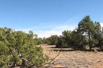 Homesite for sale in Navajo County, Arizona