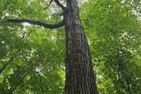 Land for sale in Gogebic County, Michigan