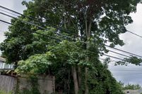 Land for sale in King County, Washington