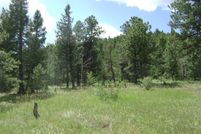 Land for sale in Park County, Colorado
