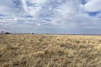 Land for sale in Lynn County, Texas