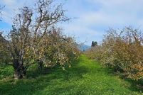 Land for sale in Santa Cruz County, California