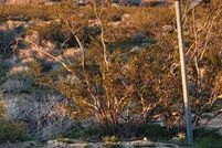 Land for sale in Kern County, California