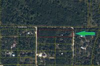 Land for sale in DeSoto County, Florida