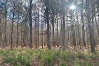 Undeveloped Land for sale in Northumberland County, Virginia
