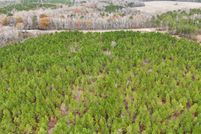 Land for sale in Clarendon County, South Carolina