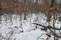 Land for sale in Lake County, Michigan