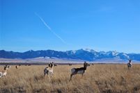 Land for sale in Madison County, Montana