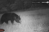 Land for sale in Montgomery County, Kentucky