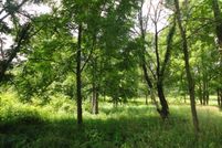 Homesite for sale in Van Buren County, Michigan