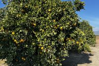 Land for sale in Tulare County, California