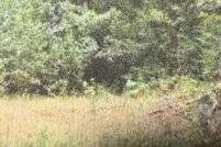 Land for sale in Roanoke County, Virginia