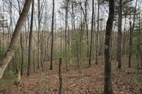Land for sale in Fannin County, Georgia