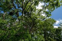 Undeveloped Land for sale in Kaufman County, Texas