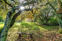 Homesite for sale in Sonoma County, California