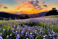 Land for sale in Humboldt County, California