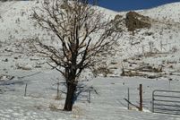 Land for sale in Douglas County, Nevada