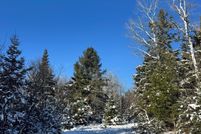 Land for sale in Alpena County, Michigan