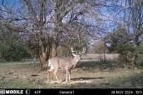 Land for sale in Pottawatomie County, Kansas