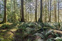 Land for sale in Lincoln County, Oregon