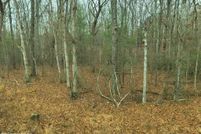Undeveloped Land for sale in Cumberland County, Tennessee
