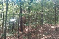 Land for sale in Henry County, Tennessee
