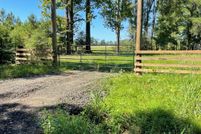 Land for sale in Sabine Parish, Louisiana