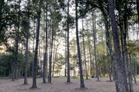 Land for sale in Clay County, Florida