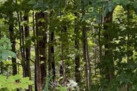 Land for sale in Orleans County, Vermont