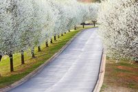 Land for sale in Habersham County, Georgia