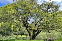 Undeveloped Land for sale in Humboldt County, California