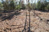 Land for sale in Levy County, Florida