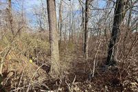 Land for sale in Baxter County, Arkansas