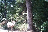 Land for sale in Benton County, Arkansas