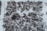 Homesite for sale in Cass County, Michigan