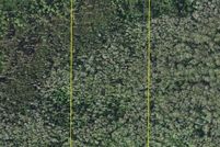 Undeveloped Land for sale in Collier County, Florida