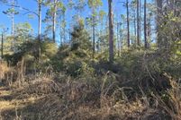 Land for sale in Dixie County, Florida