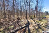 Undeveloped Land for sale in Carroll County, Tennessee