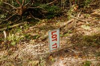 Land for sale in Wolfe County, Kentucky