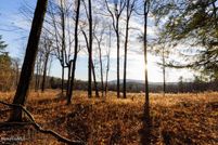 Undeveloped Land for sale in Columbia County, New York