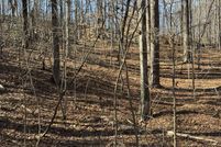 Waterfront Property for sale in Shelby County, Alabama