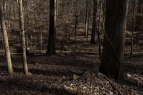 Land for sale in Shelby County, Alabama