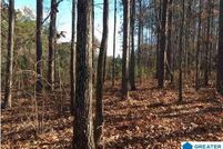 Undeveloped Land for sale in Shelby County, Alabama