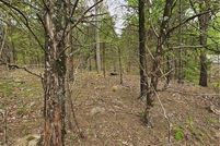 Undeveloped Land for sale in Logan County, Arkansas
